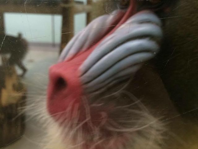 �}���h����_���тЂ듮����