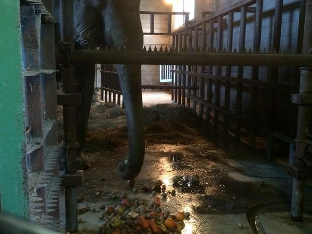 �ۂ̃i�i_���тЂ듮����