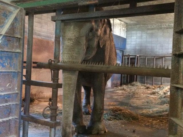 �ۂ̃i�i_���тЂ듮����