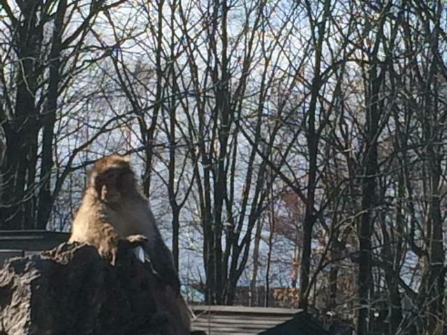 �j�z���U��_���тЂ듮����