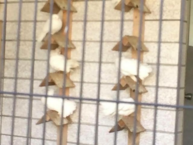 �N�W���N�o�g_���тЂ듮����