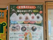 bV[̓̉w 疇c|Pbgp[N̓eʐ^3