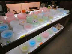 񂳂̃C^A_A[g VENINIւ̓eʐ^2