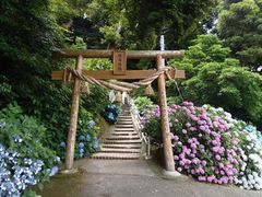 ちりさんの住吉神社（熊本県宇土市）の投稿写真1