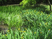 v[񂳂̐򎩑ȐҊ̓eʐ^2