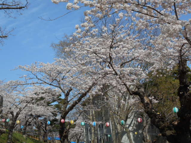 ���ٌ���