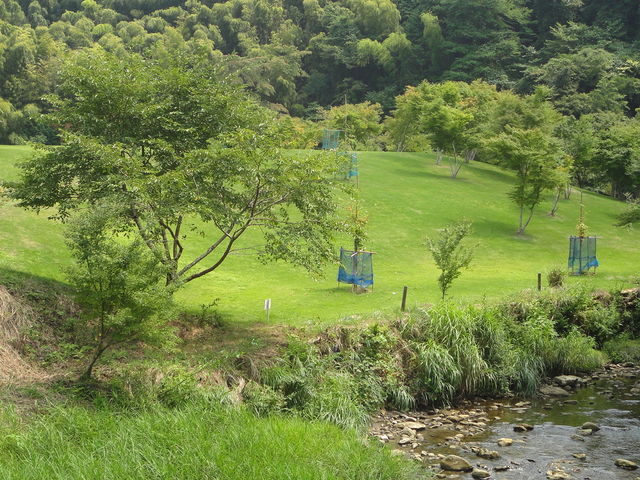 ₭̓/BBQꂩ̒_ꌩ񂱂₭̓