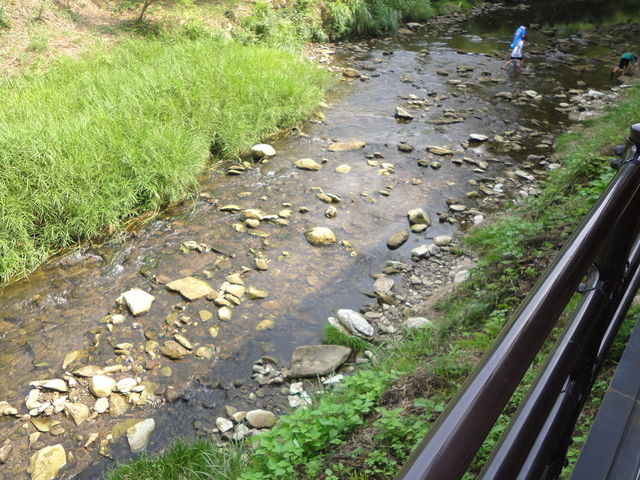 ₭̓/BBQ̉𗬂_ꌩ񂱂₭̓