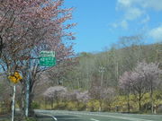 asuka̓oʂ̍؂̓eʐ^1