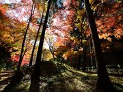 zunzu̓X_В뉀̓eʐ^3