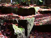 zunzu̓X_В뉀̓eʐ^7