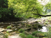 kyoukȏꌩ񂱂₭̓̓eʐ^7