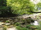 kyoukoさんの滝見苑けんこう村ごりやくの湯の投稿写真7