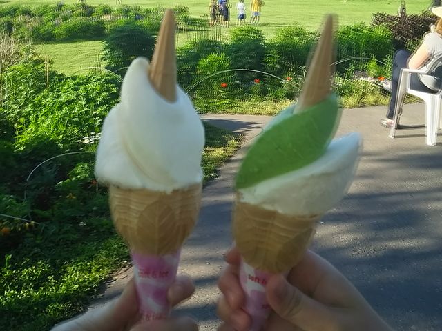 ���[�N�q���t�@�[��