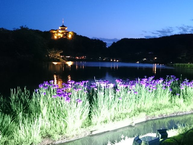 ���C�g�A�b�v���f�G_�O�≀