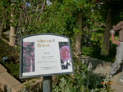 salsalady̎Rt[Z^[EnCW̑ւ̓eʐ^1