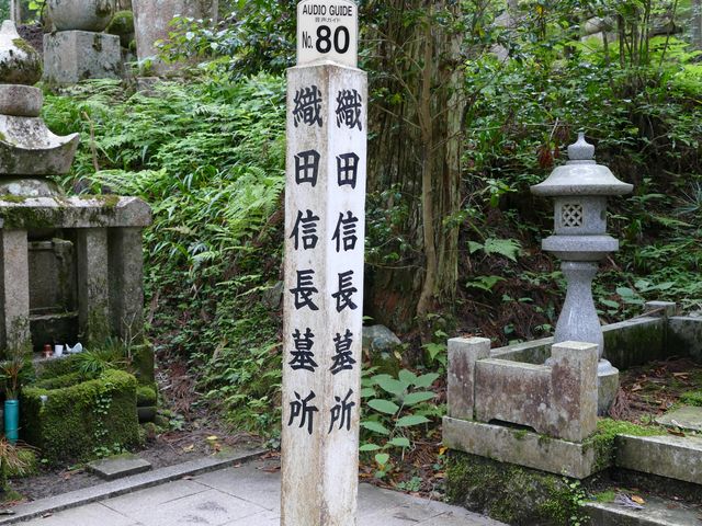 �D�c�M���̕�_���V�@