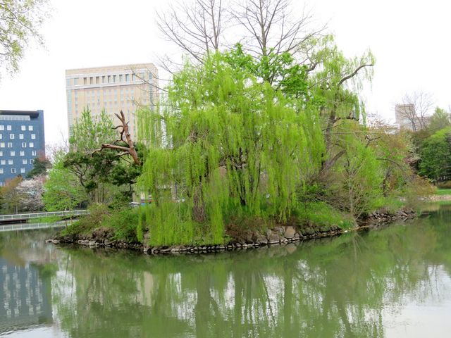 ��������_��������