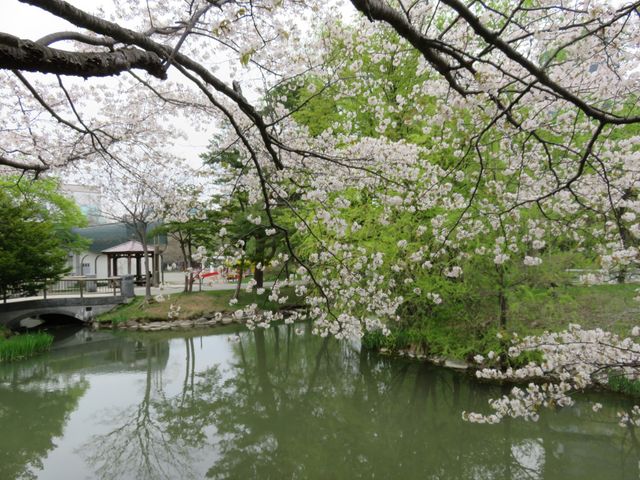 ��������_��������