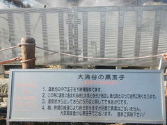 asuka����̋ʎq�����ւ̓��e�ʐ^1