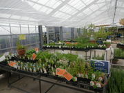 ̂ʂ܂܃n[uK[f̓eʐ^3