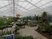 ̂ʂ܂܃n[uK[f̓eʐ^4