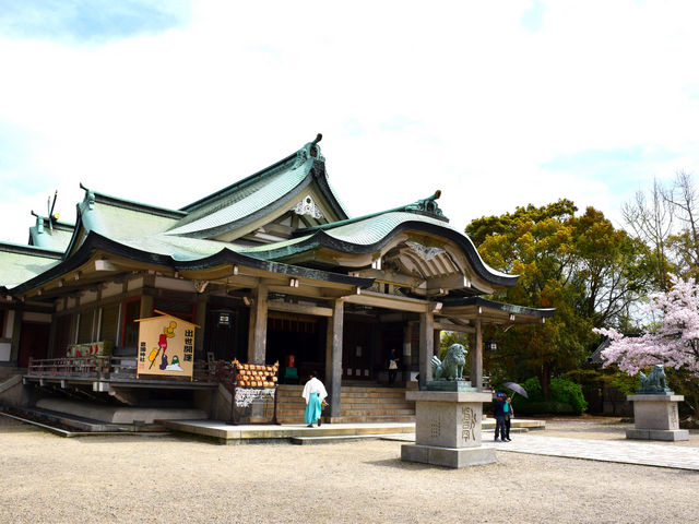 �q�a_�L���_��