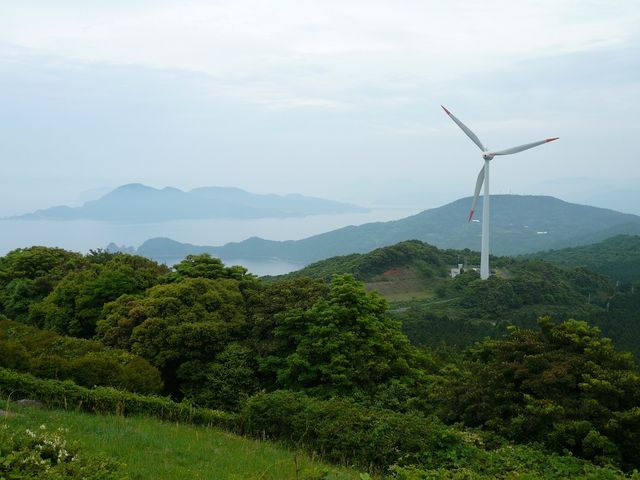 ���͔��d�̕��Ԃ������܂�_����~�i�R��������s�j