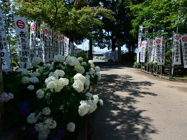 21016.06.18 10:00AM_���y��