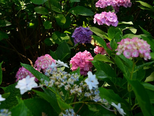 21016.06.18 10:00AM_���y��