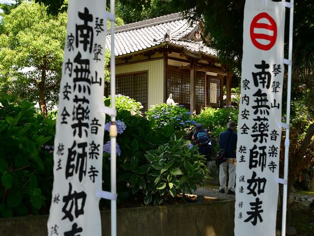 21016.06.18 10:00AM_���y��