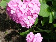 GORȈY^TCN^[~iỉw@X܂Ȃ݌@j̓eʐ^1