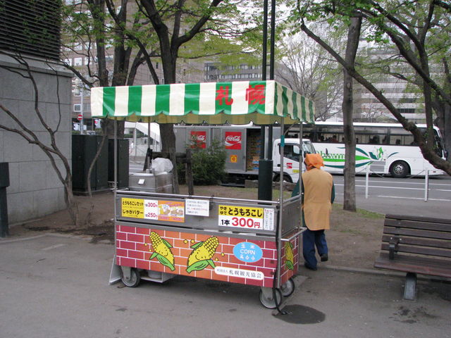 �D�y��ʌ����u���낱������v_��ʌ���