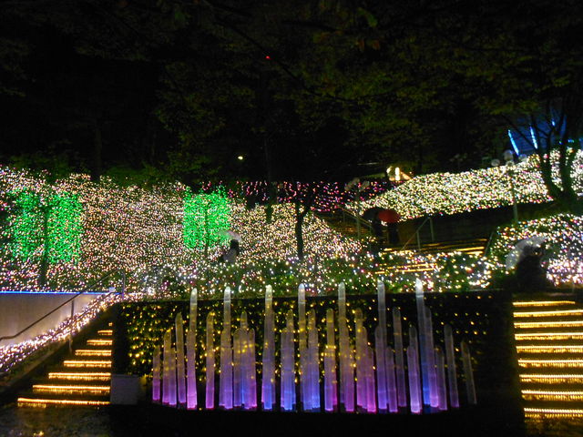 �J���~���Ă��܂������A�L���C�ł����B_�������䂤����