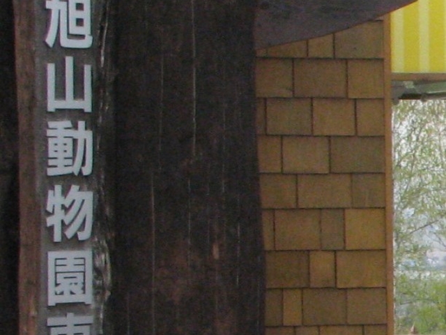 �k�C������u���R�������v����_���R������