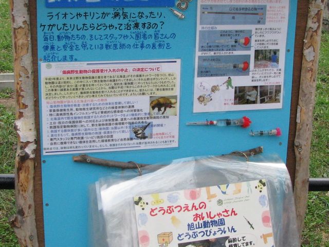 �k�C������u���R�������v�ڍׂȐ����̊Ŕł�_���R������