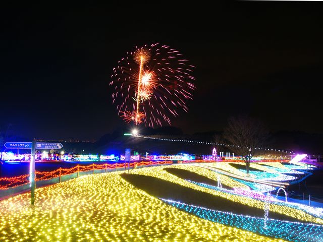 ���C�g�A�b�v�Ɖԉ�
�G�~�ɂ݂�ԉ΂������ˁI_�����h�C�c��