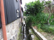 l񂳂̋Ðq(㏤l̊)̓eʐ^8