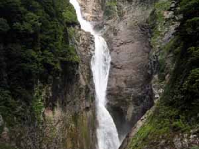 �̖���_�̖���