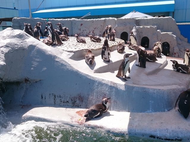 �y���M���R_��m���r�[�`�����h&��m���������ቤ��