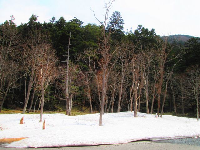 cႠBႾ܍Ղ܂B_H cƏ R