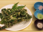 Ђ낳̂Ƃ낱X̓eʐ^3