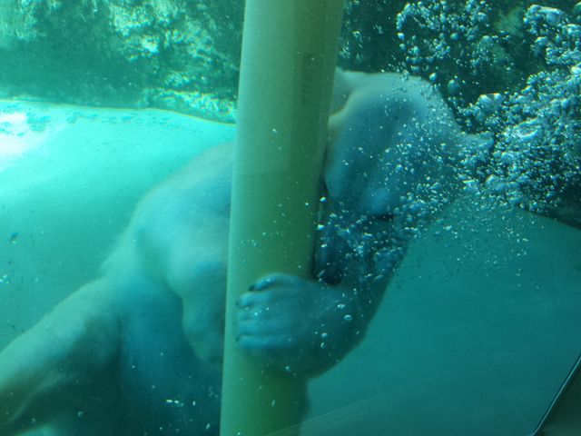 �V�ԃN�}_���R������