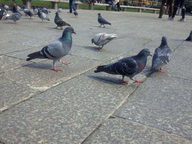 ���������ς�_��ʌ���