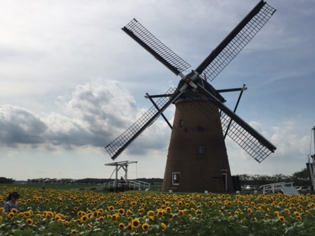 ���ԂƂЂ܂��_�I�����_���ԃ��[�t�f