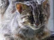 minamȋΔn쐶یZ^[̓eʐ^5