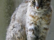 minamȋΔn쐶یZ^[̓eʐ^6