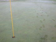 䂤̈ɒBJg[Nu@ÓR[X̓eʐ^1