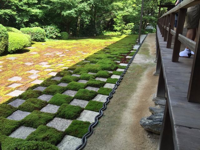 ������������_������