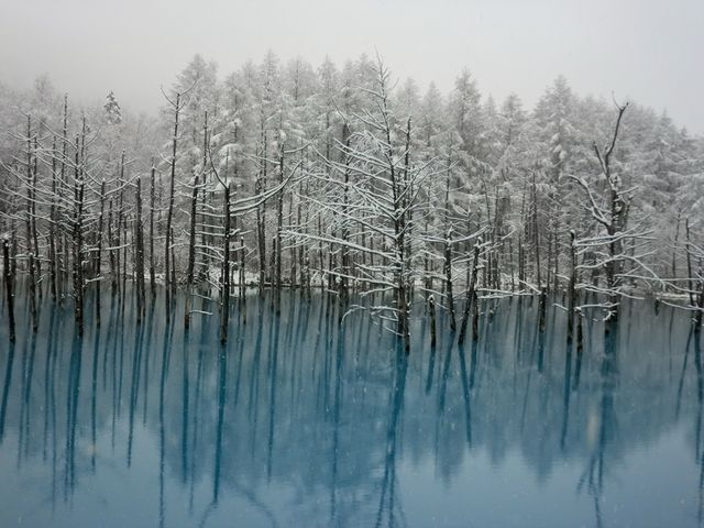 �~�̐��r�����z�I�ł����B_���r